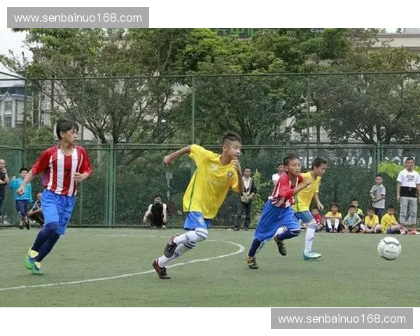 以特步足球联赛西北赛区推动区域青少年足球全面发展研究路径解析与